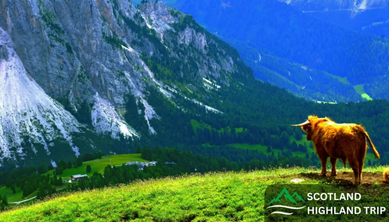 Cairngorms wildlife and whisky tour