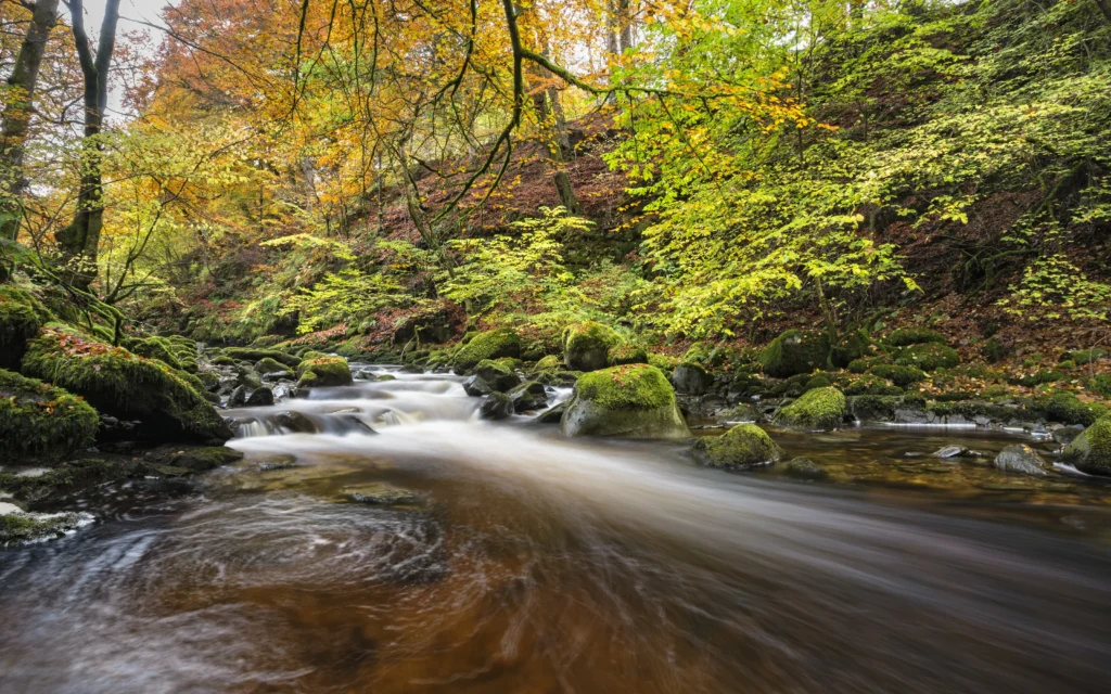 Aberfeldy