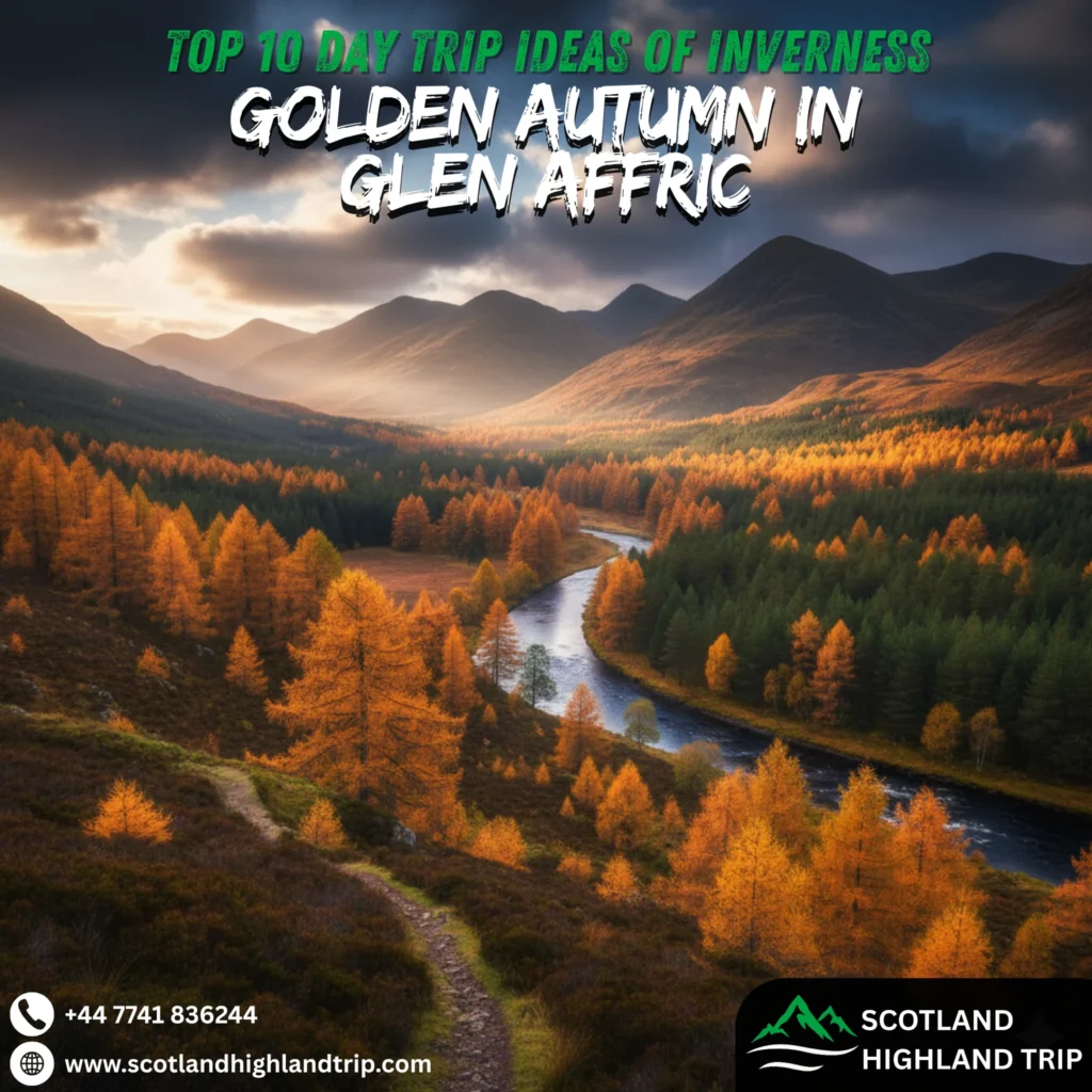 Day Trips Ideas from Inverness to the Scottish Highlands 5 Panoramic autumn view of Glen Affric with golden trees.