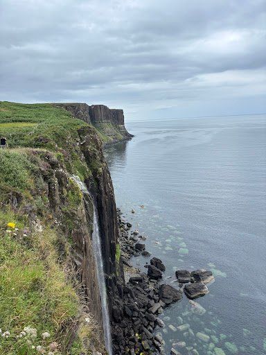 Photo from customer review