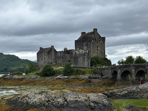 Photo from customer review