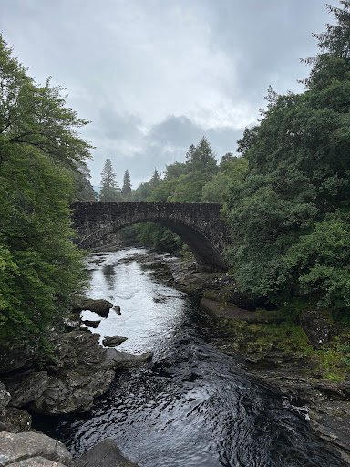 Photo from customer review